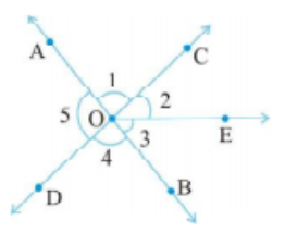 In the adjoining figure:      Is angleAOC adjacent to angle AOE?