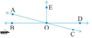 In the adjoining figure, name the following pairs of angles.