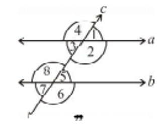 In the adjoining figure, identify     the pairs of alternate interior angles.