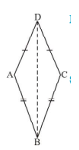 In fig Ad = CD and AB = CB.   Does BD bisect angleABC? Give reasons.