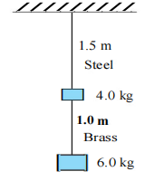 Two wires of diameter 0.25 cm, one made of steel and the other made of brass are loaded as shown in Fig. 9.13. The  unloaded length of steel wire is 1.5 m and that of brass wire is 1.0 m. Compute the elongations of the steel and the brass    wires: