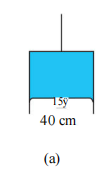 Figure 10.24 (a) shows a thin liquid film supporting a small weight = 4.5xx 10^-2 N. What is the weight supported by a film of the same liquid at the same temperature in Fig. (b) and (c) ? Explain your answer physically: