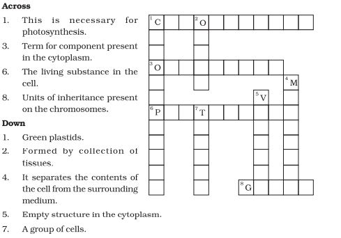 Complete the crossword puzzle.