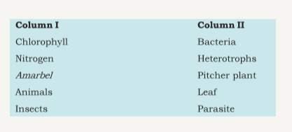 Match the items given in Column I with those in Column II: