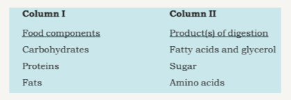 Match the items of Column I with those given in Column II: