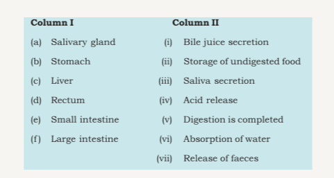 Match the items of Column I with suitable items in Column II: