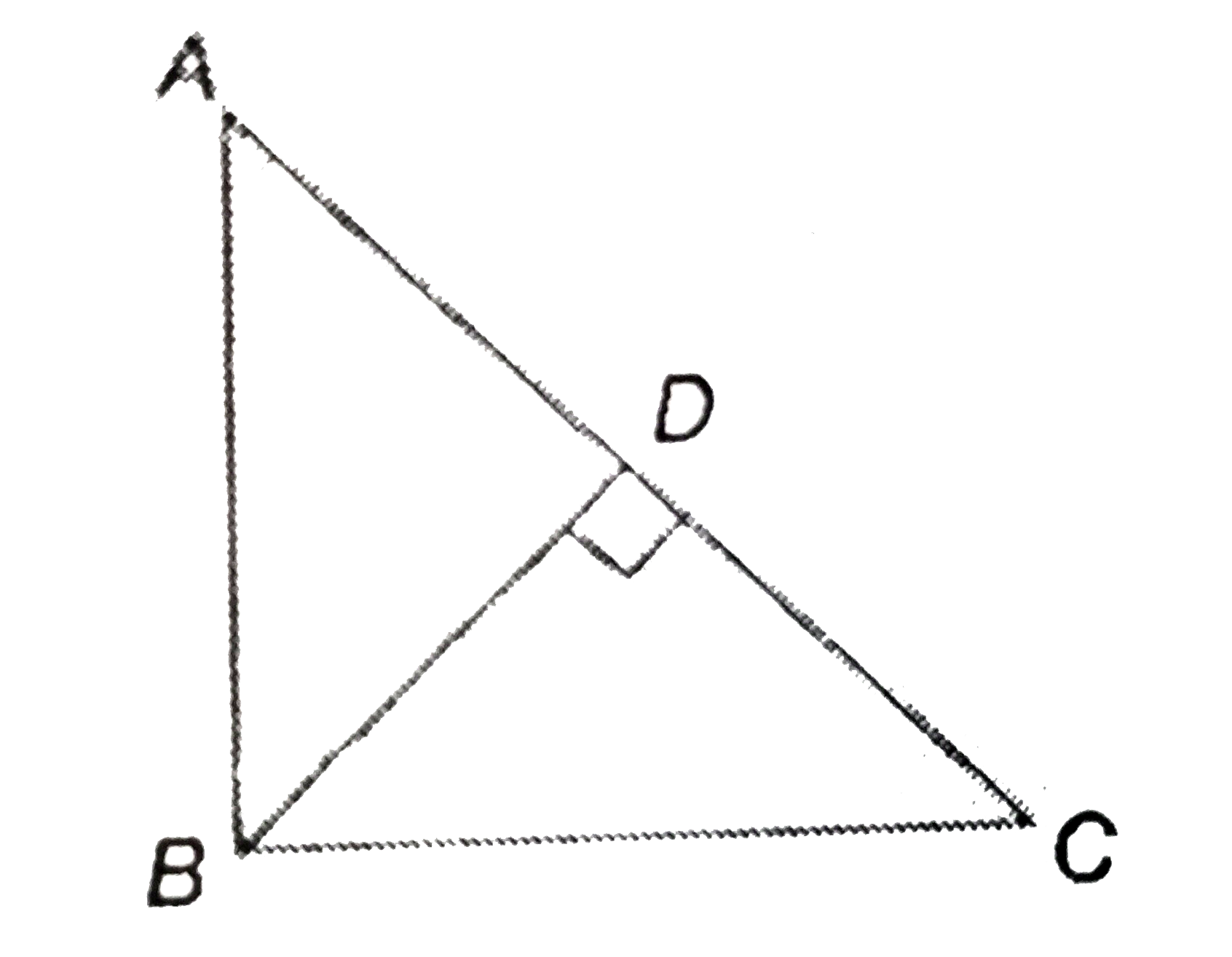 In the following figure (not to scale), ABC is a right isosceles triangle, right- angle at B and BD | AC. If the triangle ABC is rotated about the hypotenuse, then find the locus of the triangle ABC. ltbr gt