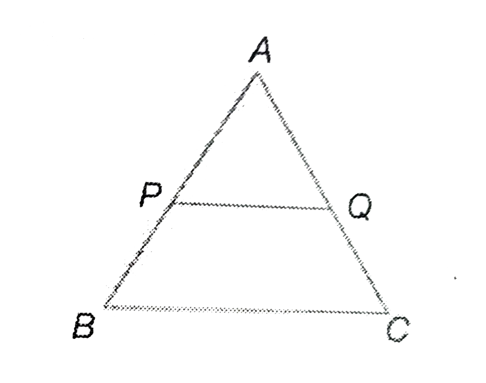 In the following figure, PQ is parallel to BC and PQ:BC =1 :3. If the area of the triangle ABC is 144 cm^2, then what is the area of the triangle APQ?