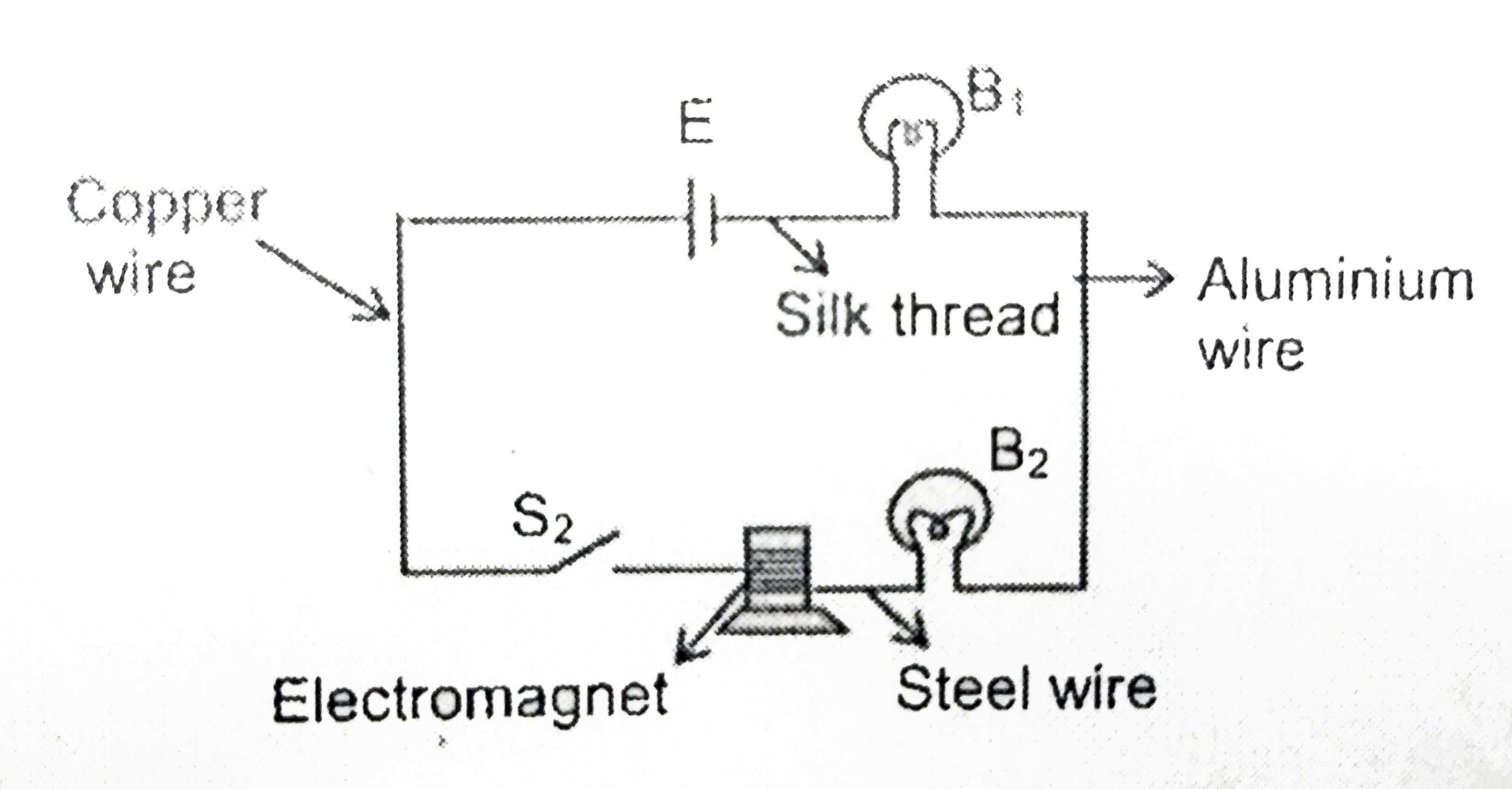 Ravinder was inspired by reading the autobiography of Thomas Alva Edison and changed a portion of his room into a laboratory. In his laboratory he per-formed and activity that demonstrates both 'heating effect' and 'magnetic effect' of electric current. He connected different components with different wires and the connections are represented by the following circuit diagram.   To his disappointment, he was not successful in his effort. Observe the circuit and suggest modifications to make his effort successful.