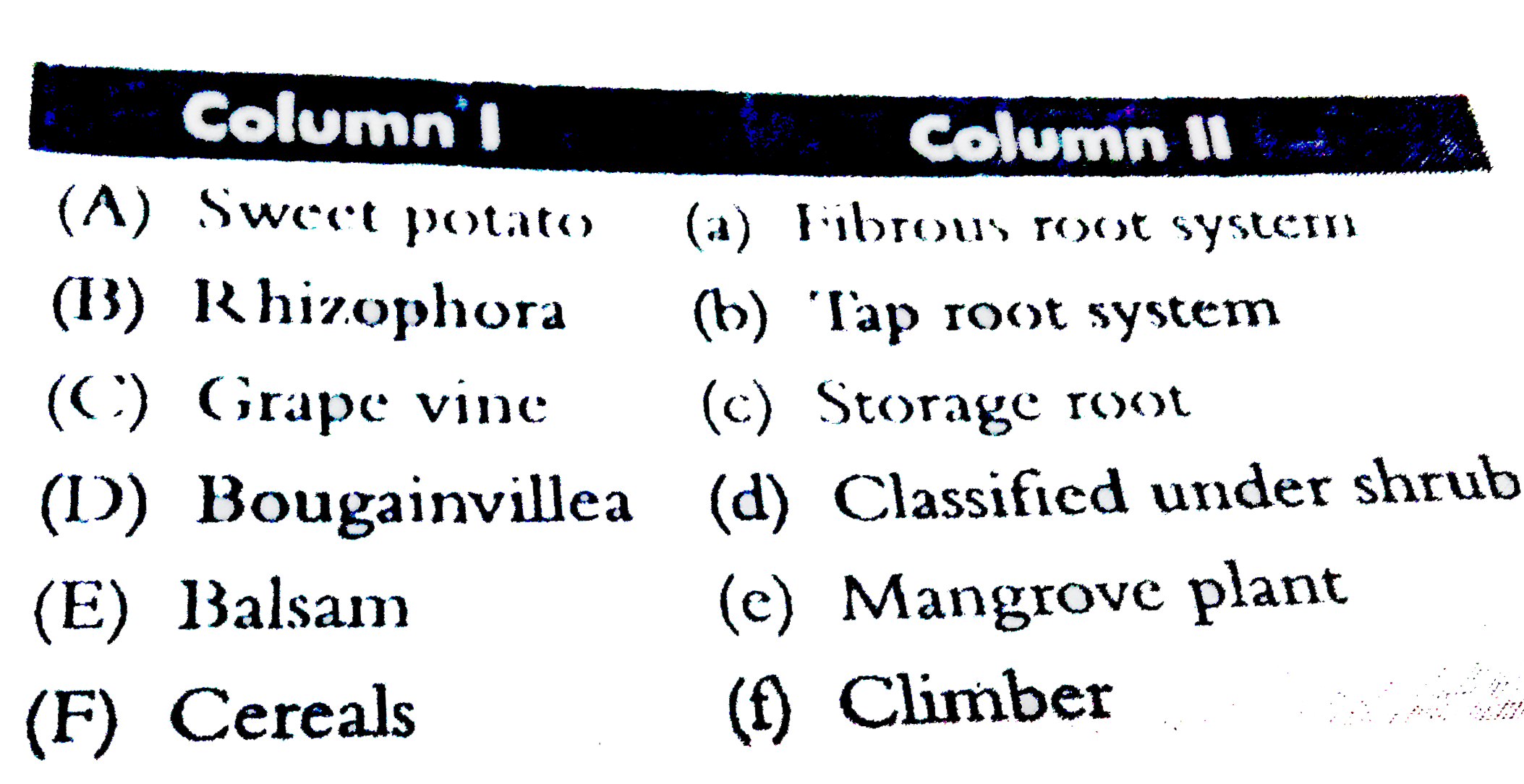 Match Column I with Column II