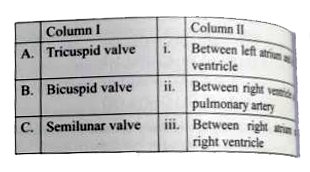 Match the items given in Column I with those in Column II and select the correct option given below :