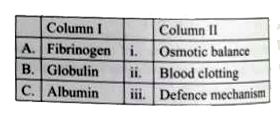 Match the items given in Column I with those in Column II and select the correct option given below :