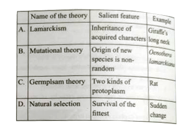 Match the columns and find out the correct combination: