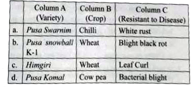 Which of the following is correctly matched?