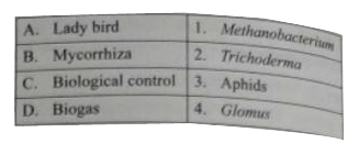 Match the columns and find out the  correct combinations