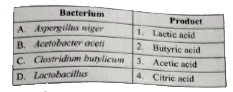 Match the following list of bacteria and their  commereially important products: