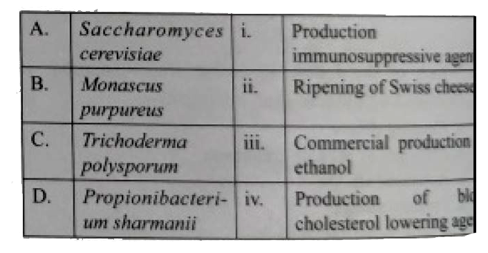 Match the following list of microbes and their importan