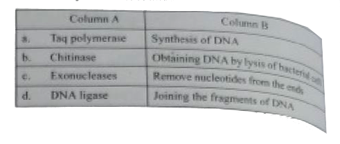 Which enzyme is not related correctly with its function?