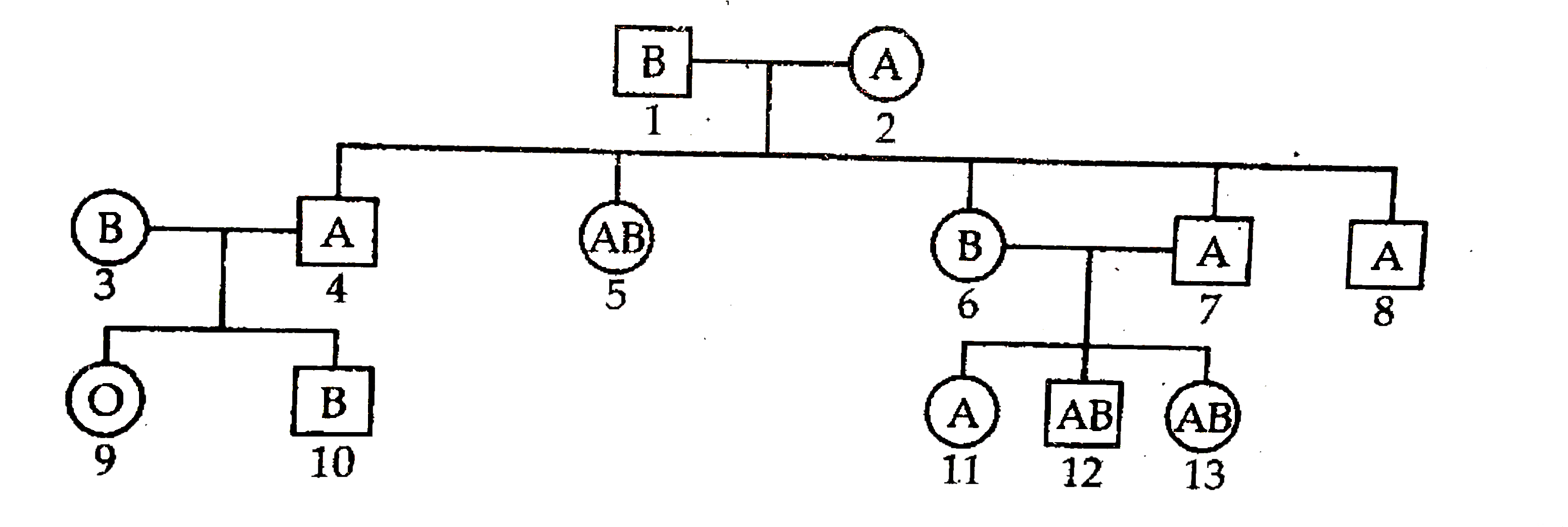 Study the pedigree chart given, showing the Inheritance pattern of blood groups in a family and answer the following questions      (a) Give the possible genotypes of the individuals 1 and 2.    (b) Which antigen or antigens will be present on the plasma membranes of the RBC's of individuals 5 and 9.    (c) Give the genotypes of the individuals 3 and 4.