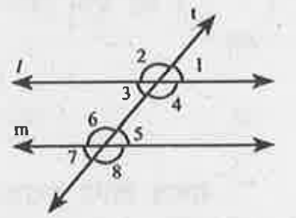 पार्श्व चित्र में l और m दो समान्तर रेखाएँ तथा t तिर्यक रेखा है। यदि /1=30°, शोष कोणों 2,3,4,5,6,7 और 8 के मान  ज्ञात कीजिए।