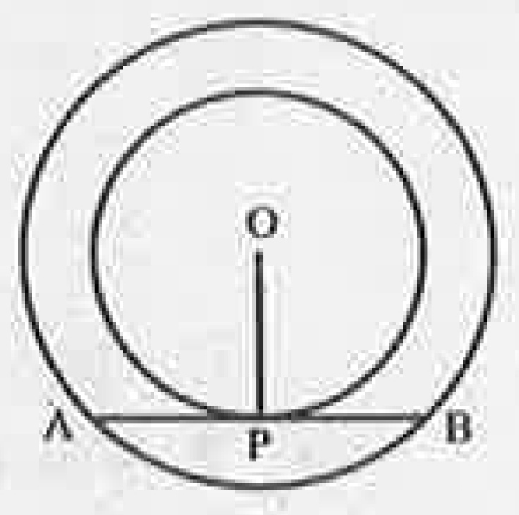 पार्श्व आकृति में केन्द्र O वाले दो संकेन्द्रीय वृत्त (दोनों वृत्तों का एक ही केन्द्र O है) हैं। बड़े वृत्त की एक जीवा AB छोटे वृत्त की P पर स्पर्श रेखा है। क्या यह कहा सत्य होगा कि AB बिन्दु P पर समद्विभाजित होती है? सकारण उत्तर दीजिए।