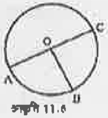 आकृति 11.6 में O वृत्त का केन्द्र है । आकृति में निर्मित किन्हीं दो त्रिज्यखंडों के नाम लिखिए।