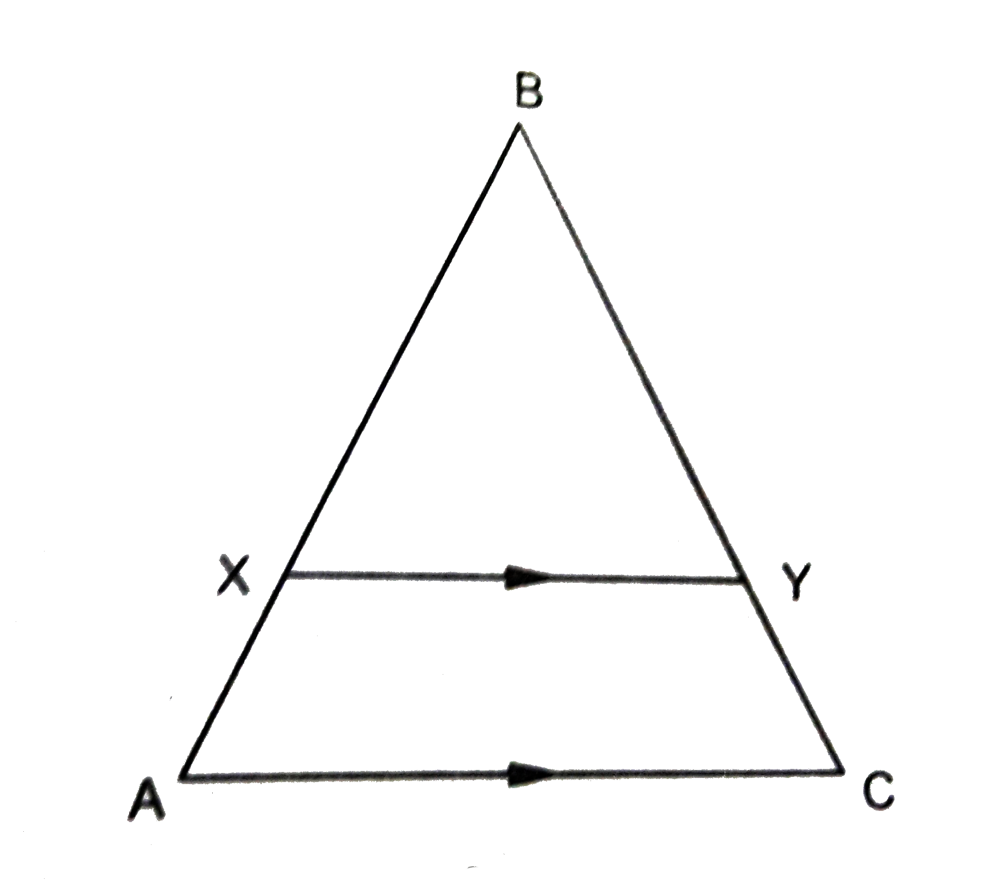 चित्र 2 में, XY || AC इस प्रकार है कि XY त्रिभुज ABC को दो बराबर क्षेत्रफलों में बाँटता है। अनुपात (AX)/(AB) का मान ज्ञात कीजिए।