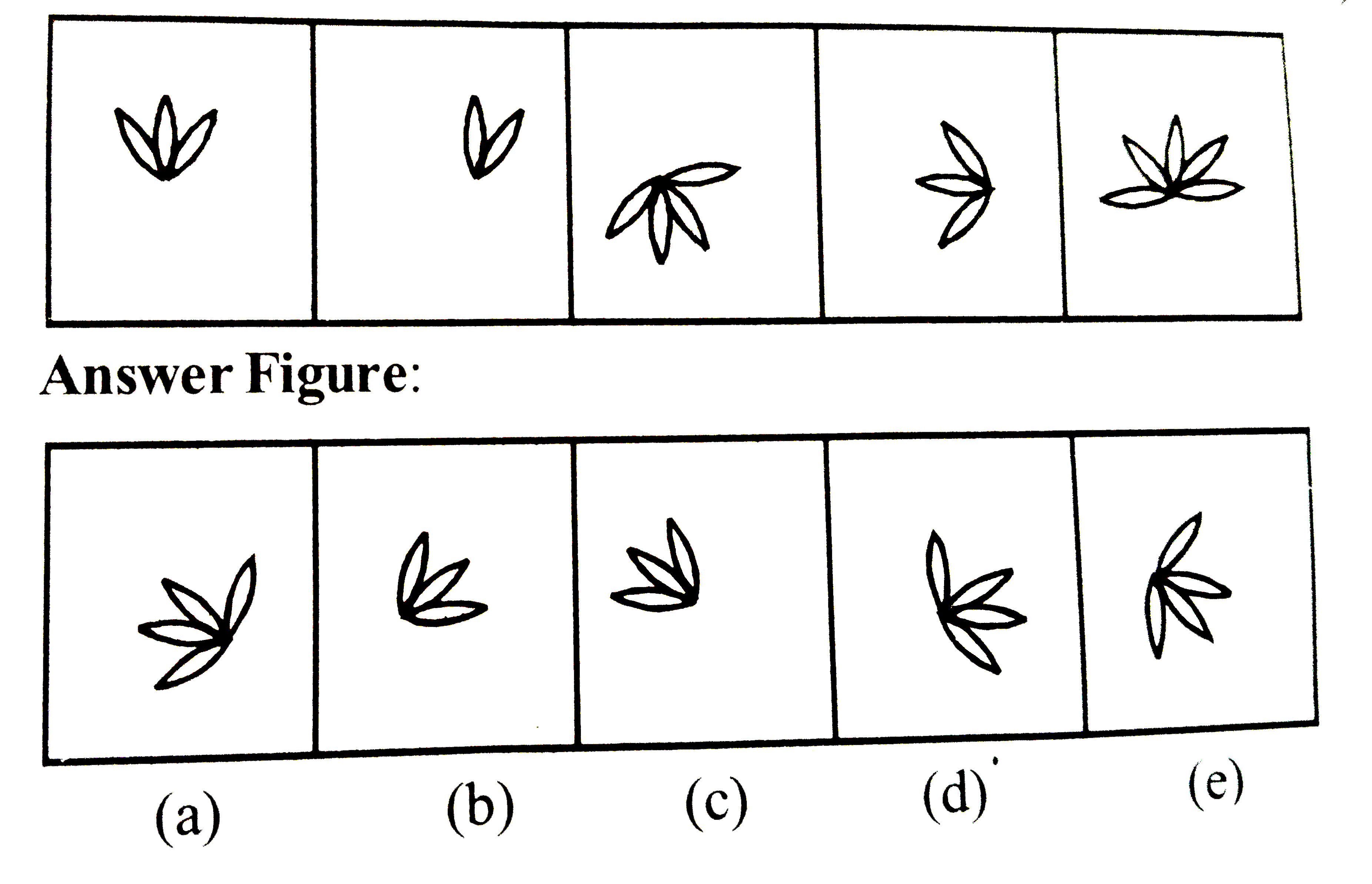 Which of the following will ne next choose the correct options ?