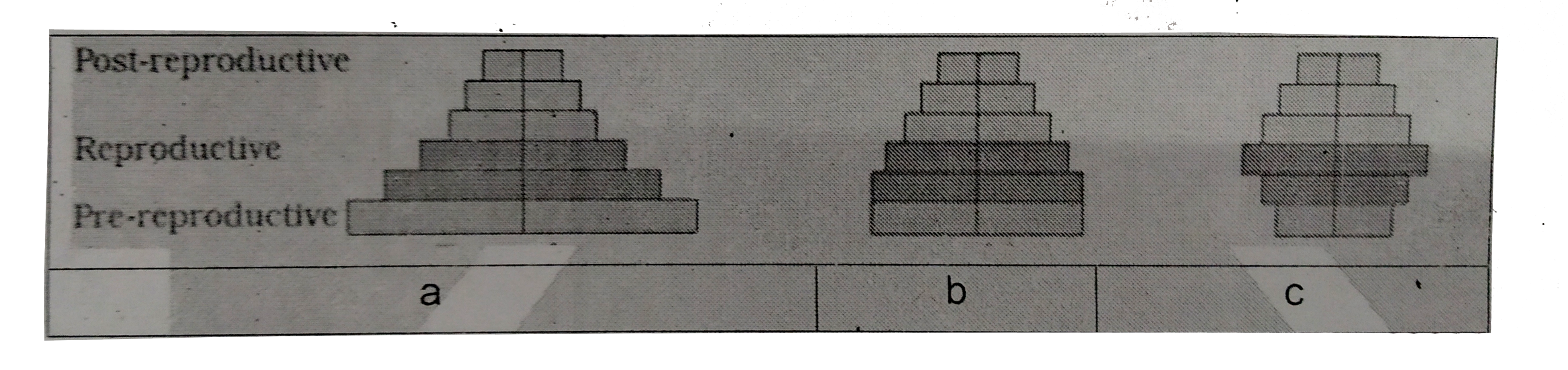 Select the correct option w.r.t. Age pyramids.
