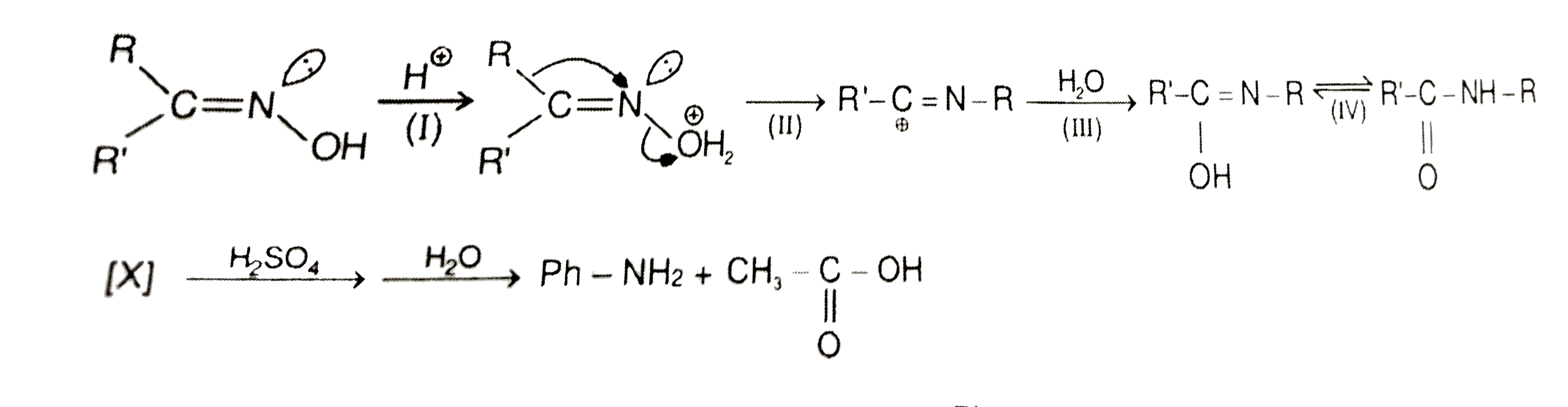 Alldehydes and Ketones react with NH(2)OH to form aldoximes and Ketoximes respectively. Configuration of these can be determined by Beckmann rearragement as that group migrates which is anti w.r.t -OH      [X] overset(H(2)SO(4))to overset(H(2)O)to Ph-NH(2)+CH(3)-underset(O)underset(||)(C)-OH   Identify the configuration of [X] compound