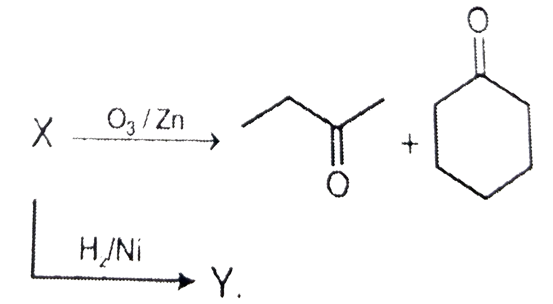 The IUPAC name of compound Y is :