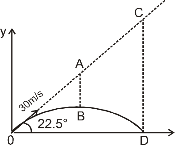 A particle is projected with speed 30m//s at angle 22.5^(@) with horizontal from ground as shown. AB and CD are parallel to y-axis and B is highest point of trajectory of particle. CD//AB is