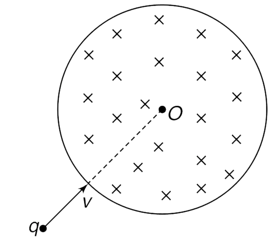 Figure shown circular region of radius R = sqrt(3)m in which upper half has uniform magnetic field  vec(B)=0.2(-hat(K))T and lower half has uniform magnitic field vec(B)=0.2hat(K)T. A very thin parallel beam of point charges each having mass m = 2gm, speed v = 0.3m//sec and charge q= +1mC are projected along the diameter as shown in figure. A screen is placed perpendicular to initial velocity of charges as shown. If the distance between the point on screen where charges will strike is 4X meters, then calculate X.