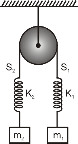 Consider the condition shown in the figure. Pulley is massless and frictionless, springs are massless. Both the blocks are released with the springs in their natural lengths. Choose the correct options.