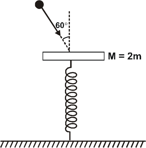 A particle of mass m collides elastically with the pan of mass (M = 2m) of a spring balance, as shown in figure. Pan is in equillibrium before collision. Spring constant is k and speed of the particle before collision is v(0) . Answer the following three questions regarding this collision.      Maximum compression in the spring after the collision the