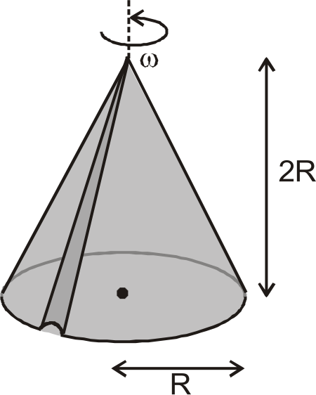 A uniform solid cone of mass m, base radius ‘R’ and height 2R, has a smooth groove along its  slant height as shown in figure. The cone is rotating with angular speed omega, about  the  axis of symmetry.  If a particle of mass ‘m’ is released from apex of cone, to slide along the groove, then angular speed of cone when particle reaches to the base of cone is