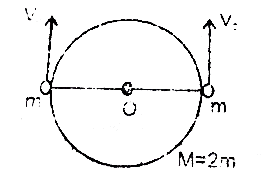 An isolated smooth ring of mass M = 2m with two small  beads each of mass m is as shown in the figure. Initially both the beads are at diametrically opposite points and have velocity v(0) (for each) in same direction. The speed of the beads just before they collide for the first time is (complete system is placed on a smooth horizontal surface and assume each point of ring is touching the surface)