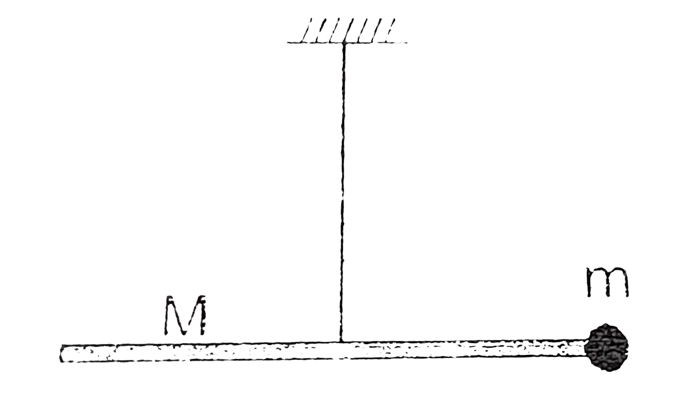 A particle of mass m is attached to an end of a uniform rod of mass M = 2m and length l(1) which is suspended through its mid point by an inextensible string as shown initially the rod is in horizontal position and at rest. The system is released from this position Just after the release