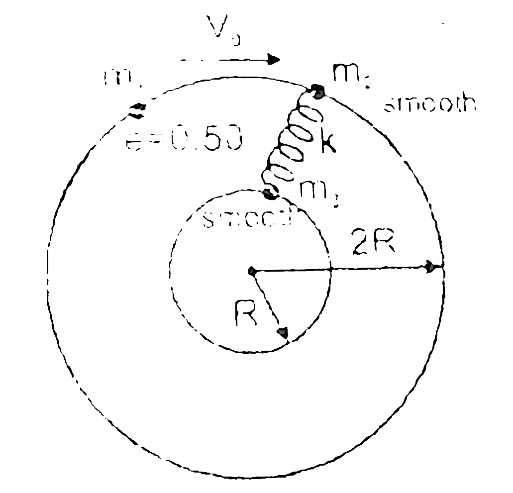 Three particles each of mass m can slide on fixed frictionless horizontal circular tracks in the same horizontal plane as shown in the figure. The coefficient of restitution being e = 0.5. Assuming that m(2) and m(3) are at rest initially and lie along a radial line before impact and the string is initially unstretched, then maximum extension in spring in subsequent motion