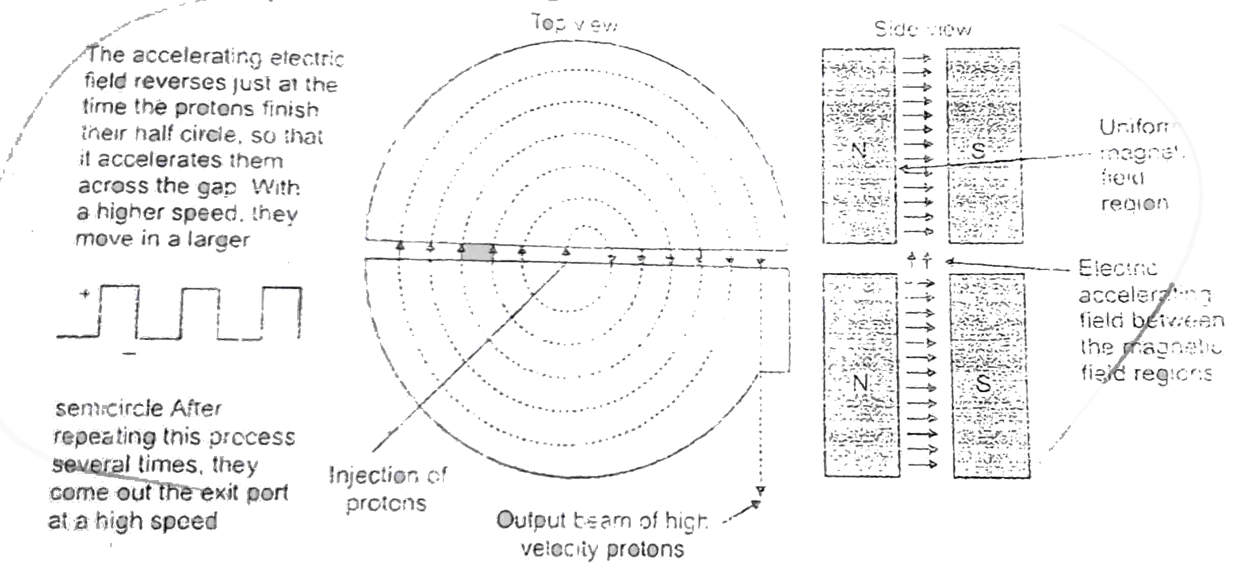 In the given figure of a cyclotron, showing the particle source S and the dees.A uniform magnetic field is directed up form the plane of the page.Circulating protons spiral outward within the hollow dees gaining energy every time they cross the gap between the dees.Suppose that a proton, injected by source S at the centre of the centre of the cyclotron in figure initially moves toward a negatively charged dee.It will accelerate toward this dee and enter it.Once inside, it is shielded from electric field by the copper walls of the dee,that is the electric field does not enter the dee.The magnetic field, however, is not screened by the (nonmagnetic) copper dee, so the proton moves in circular path whose radius, which depends on its speed, is given by   r=(mv)/(qB)...(1)   Let us assume that at the instant the proton emerges into the center gap from the first dee, the potential difference between the dees is reversed.Thus, the proton again faces a negatively charged dee and is again accelerated.Thus,the proton again faces a negatively charged dee and is again accelerated.This process continues, the circulating proton always being in step.with the oscillations of the dee potential, until the proton has spiraled out to the edge of the dee system.There a deflector plate sends it out through a portal.The key to the operation of the cyclotron is that the frequency f at which the proton circulates in the field (and that does not depend on its speed) must be equal to the fixed frequency f(osc) of the electrical oscilliator, or f=f(osc)(