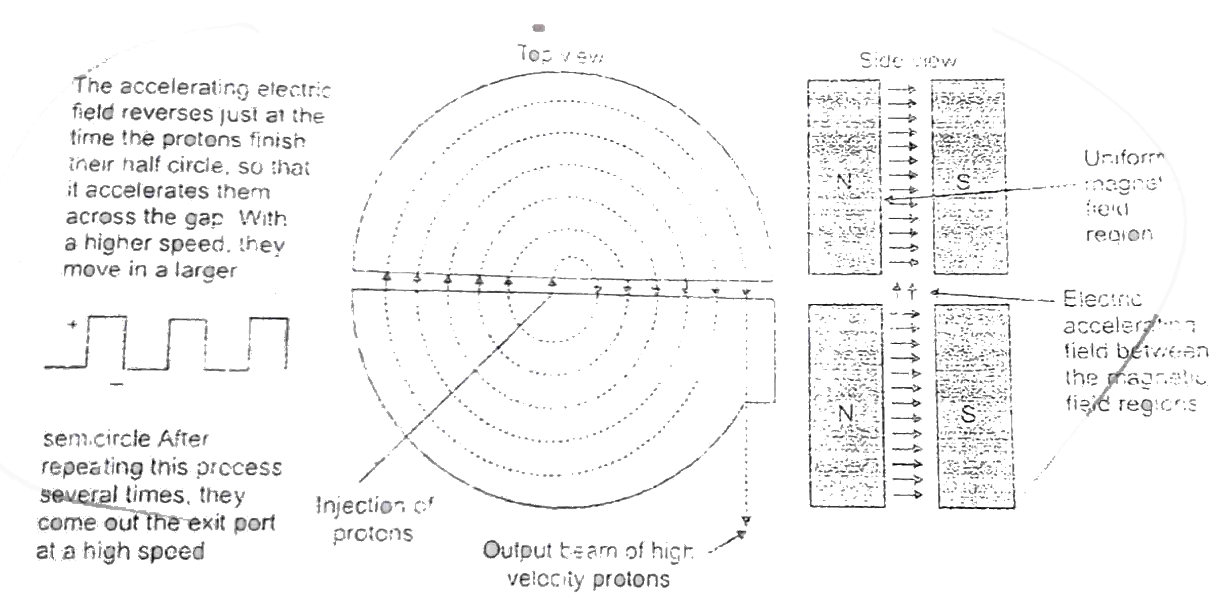 In the given figure of a cyclotron, showing the particle source S and the dees.A uniform magnetic field is directed up form the plane of the page.Circulating protons spiral outward within the hollow dees gaining energy every time they cross the gap between the dees.Suppose that a proton, injected by source S at the centre of the centre of the cyclotron in figure initially moves toward a negatively charged dee.It will accelerate toward this dee and enter it.Once inside, it is shielded from electric field by the copper walls of the dee,that is the electric field does not enter the dee.The magnetic field, however, is not screened by the (nonmagnetic) copper dee, so the proton moves in circular path whose radius, which depends on its speed, is given by   r=(mv)/(qB)...(1)   Let us assume that at the instant the proton emerges into the center gap from the first dee, the potential difference between the dees is reversed.Thus, the proton again faces a negatively charged dee and is again accelerated.Thus,the proton again faces a negatively charged dee and is again accelerated.This process continues, the circulating proton always being in step.with the oscillations of the dee potential, until the proton has spiraled out to the edge of the dee system.There a deflector plate sends it out through a portal.The key to the operation of the cyclotron is that the frequency f at which the proton circulates in the field (and that does not depend on its speed) must be equal to the fixed frequency f(osc) of the electrical oscilliator, or f=f(osc)(