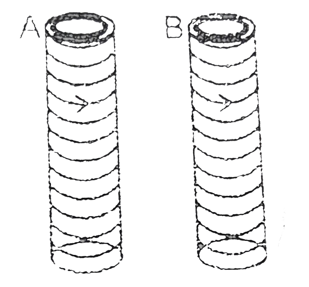 Two metallic rings A and B identical in shape and size but having different resistivities rho(A) and rho(B) are kept on top of two idential solenoids as shown in the figure.When current I is switched on in both the solenoids in identical manner, the rings A and B jump to heights h(A) and h(B) respectively with h(A) > h(B). The possible relation(s) between their resistivities and their masses m(A) and m(B) is (are)