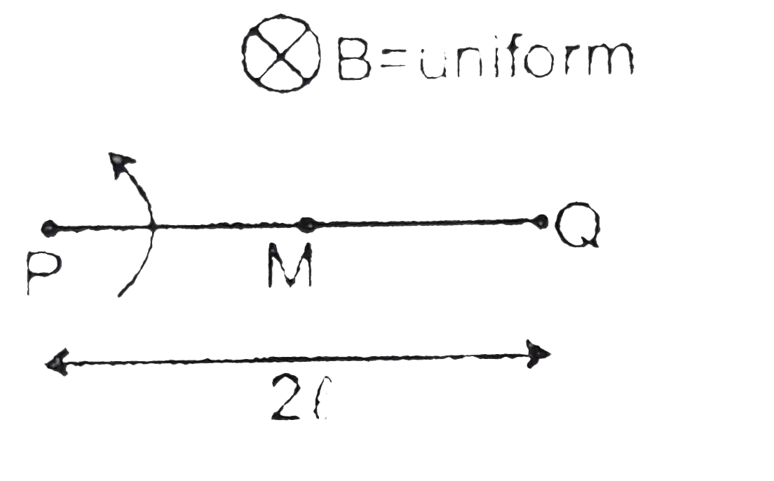 A rod PQ of length 2I is rotating about one end P in a uniform magnetic field B  which is perpendicular to the plane of rotation of the rod.Point M is the mid point of the rod.Find the induced emf between M & Q if that between P & Q=100V.