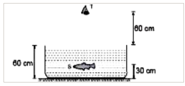 चित्र में दर्शाये गए अनुसार पात्र के पेंदे का तल परावर्तक समतल दर्पण है, S एक छोटी मछली है तथा T मनुष्य की आंख है।  जल का अपवर्तनांक 4/3 है।        मछली को संव्य से कितनी दुरी पर आंख का प्रतिबिम्ब नीचे की दिशा में दिखाई देगा ?