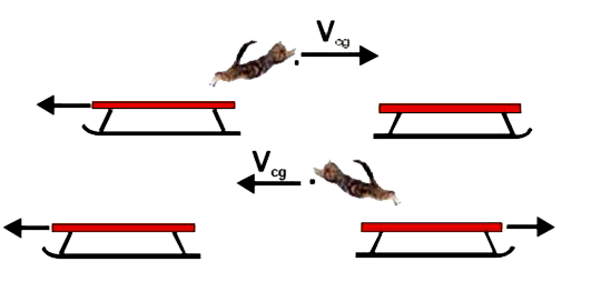 m(c) द्रव्यमान की एक विलक्षण बिल्ली एकसमान स्लेज (sledge) युग्म के बांये स्लेज पर विरामावस्था में बैठी है। स्लेज का द्रव्यमान ms है तथा यह घर्षणहीन बर्फ पर स्थित है। अचानक बिल्ली दांये स्लेज पर क्षैतिज चाल V(cg) से कूदती है, जिसे धरातल के सापेक्ष मापा गया है। बिल्ली दांये स्लेज पर पहुंचती है तथा उसी क्षण यह घूमकर वापस बांये स्लेज पर कूदती है। बिल्ली की चाल का क्षैतिज घटक दुबारा धरातल के सापेक्ष V(cg)  मापा जाता है।      बाये स्लेज की अंतिम चाल, बिल्ली तथा स्लेज के द्रव्यमानों एवं बिल्ली के कूदने की चाल के पदों में क्या होगी? (वापिस आने के पश्चात् बिल्ली बांये स्लेज पर ही रहती है )