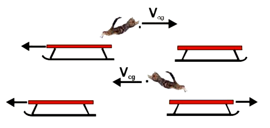 m(c) द्रव्यमान की एक विलक्षण बिल्ली एकसमान स्लेज (sledge) युग्म के बांये स्लेज पर विरामावस्था में बैठी है। स्लेज का द्रव्यमान m, है तथा यह घर्षणहीन बर्फ पर स्थित है। अचानक बिल्ली दांये स्लेज पर क्षैतिज चाल V(cg) से कूदती है, जिसे धरातल के सापेक्ष मापा गया है। बिल्ली दांये स्लेज पर पहुंचती है तथा उसी क्षण यह घूमकर वापस बांये स्लेज पर कूदती है। बिल्ली की चाल का क्षैतिज घटक दुबारा धरातल के सापेक्ष V(cg)  मापा जाता है।      बिल्ली द्वारा दांये स्लेज पर आरोपित आवेग क्या होगा?