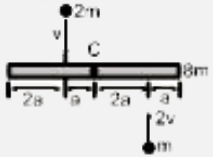 6 a लम्बाई व 8 m द्रव्यमान की एक समरूप छड़ एक चिकनी क्षैतिज मेज पर रखी है। दो बिन्दु द्रव्यमान m व 2m समान क्षेतिज तल में क्रमश: 2v व v चाल से दर्शाये अनुसार टकराते हैं एवं टक्कर के बाद छड़ से चिपक जाते है।      निकाय के द्रव्यमान केन्द्र का वेग है