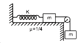 नीचे दिखाये गये निकाय में दो समान द्रव्यमान m तथा स्प्रिंग-नियतांक K की एक स्प्रिंग है। बांये द्रव्यमान तथा क्षतिज मेज के बीच घर्षण गुणांक mu है, तथा घिरनी घर्षणरहित है। दोनो ब्लॉकों से जुड़ी डोरी द्रव्यमानहीन तथा अविता न्य है। निकाय की स्प्रिंग को प्राकृतिक लम्बाई (बिना खिंची लम्बाई) की अवस्था में रखा जाता है तथा फिर निकाय को छोड़ दिया जाता है।      mu का न्यूनतम मान जिसके लिए निकाय एक बार रूकने के बाद विराम पर रहे, होगा -