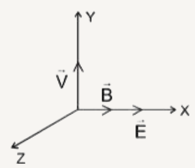 1mu C आवेश तथा m = 1 द्रव्यमान का एक कण t = 0 पर मूल बिंदु से x - अक्ष के अनुदिश कार्यरत 10^(3) N//C  के विद्युत् क्षेत्र तथा समान अक्ष के अनुदिश कार्यरत 10 टेसला के चुंबकीय क्षेत्र अंतर्गत vec(v) = 20 hat(j) m/sec के वेग से चित्रानुसार गति प्रारम्भ करता है। 20 sqrt(3)  पर कण की चाल होगी -