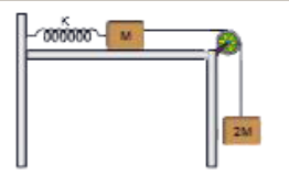 M व 2M द्रव्यमान के दो गुटके स्प्रिंग नियतांक K की एक हल्के स्प्रिंग से जुड़े हैं जिसका एक सिरा चित्रानुसार स्थिर है।  क्षैतिज  सतह एवं घिरनी रहित है।  गुटके विराम से चोदे जाते हैं जब स्प्रिंग अविकृत (बिना खिंचा ) है।  डोरी हल्की है।